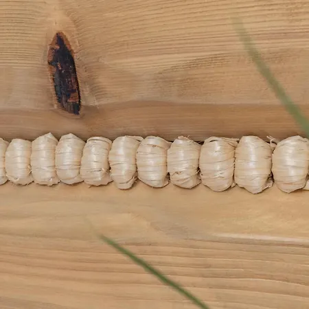 Apartman Nowy Szlak Luksusowe Kościelisko