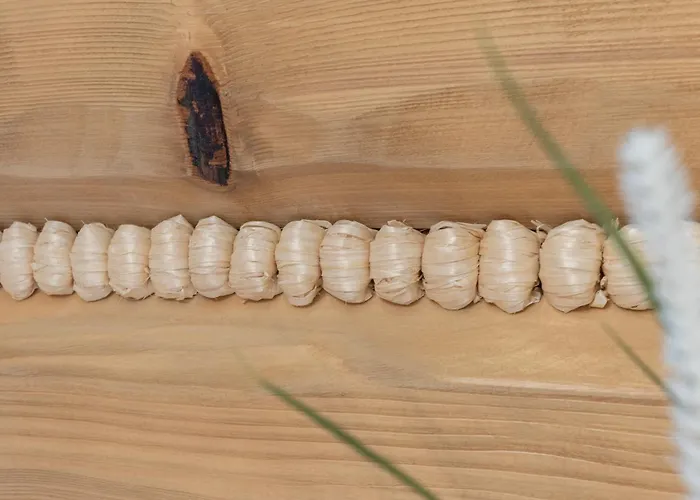 Appartement Nowy Szlak Luksusowe Kościelisko