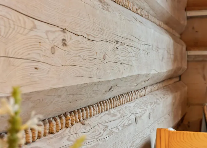 Appartement Nowy Szlak Luksusowe Kościelisko